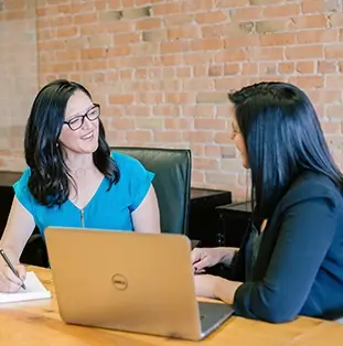 Professional License